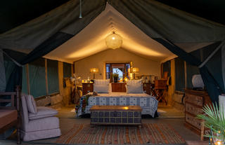 Family Safari Suite