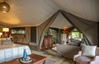 Family Safari Suite