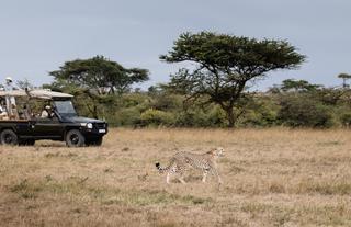 Game Drive