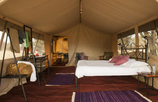 Ndutu Under Canvas - South Serengeti