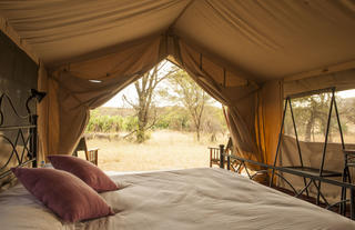 Ndutu Under Canvas - South Serengeti