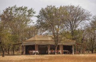 Ndutu Under Canvas -South Serengeti