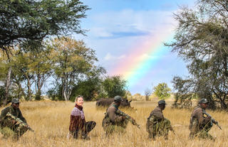 Rhino and rainbows