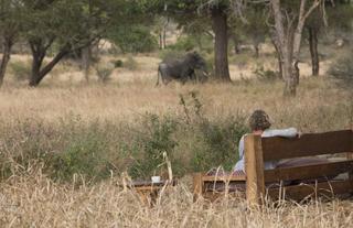 Kuro Tarangire sits on a game route so there are often elephants around camp. 