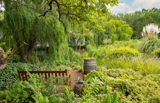 Hotel Grounds