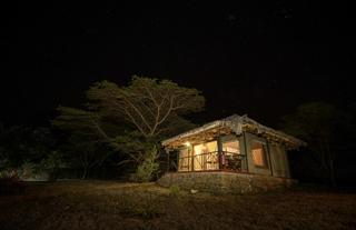 Night View