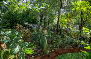 Gardens