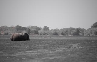 Lwenge River View