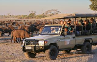 Chobe game drive 