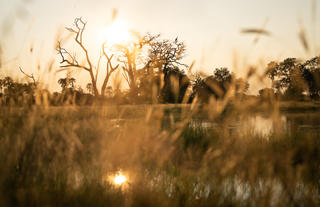 Singita Elela_Water pan