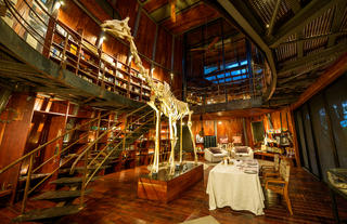 Jao Camp Museum Dinner