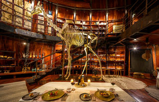 Jao Camp Museum Dinner