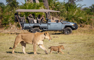 Game Drive