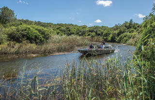 Kariega Settlers Drift Safari Boat Trips
