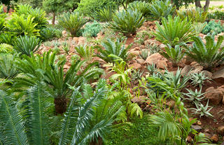 Gardens