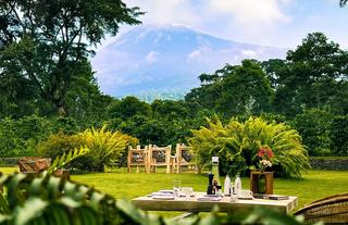 Garden with Kilimanjaro View