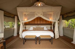 Guest Tent Interior