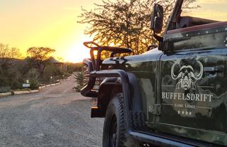Bush Safaris
