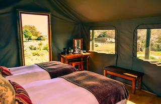 Luxury Family tents with either twin or double beds