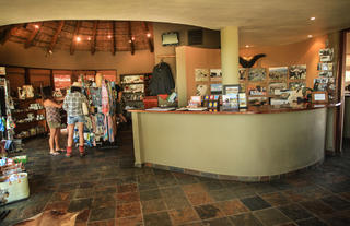 Reception & Curio Shop