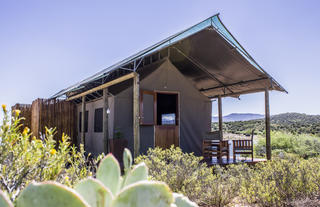 Luxury Family Tents Exterior