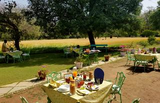Breakfasts is served outdoors amids