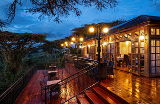 Ngorongoro Lions Paw Outside Deck