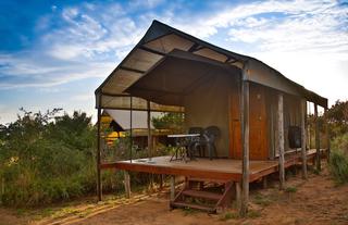Turtle Tent 