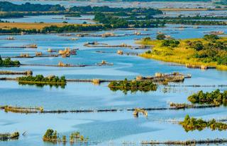 Kosi bay Estuary & Lakes