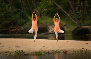 Yoga Classes
