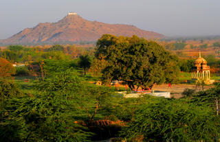 Room View 