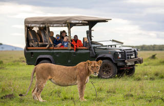 Exclusive use safari car