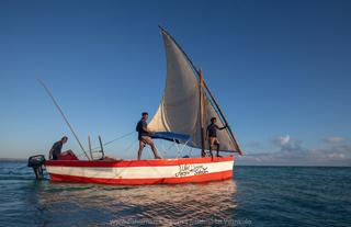 Dhow trips to the Islands