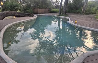 Nambwa Tented Lodge Swimming Pool