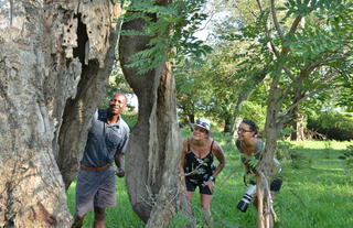 Chundu Island - Island Walk