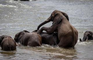 Chundu Island - Activities 