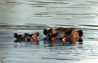 Chundu Island - Scenery + Wildlife