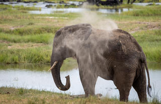 Chundu Island - Scenery + Wildlife