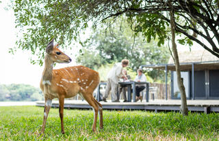 Chundu Island - Dining