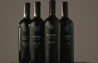 Algodon Wines - Black Line