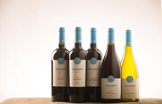 Algodon Wines - Blue Line