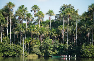 Lake Sandoval