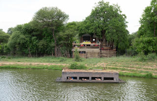 Terrapin Hide