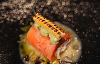 Food + Dining