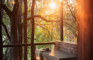 Safari Suite Room View