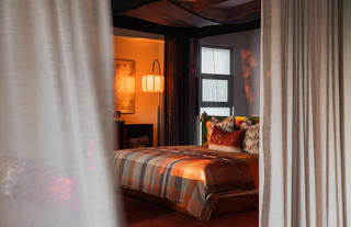 Safari Suite