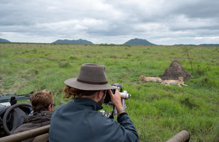 Game Drive 2