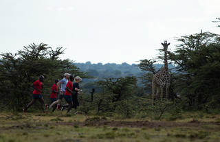 Run with a Kenyan at Angama Mara 