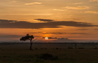 Sunrise on the Mara floor