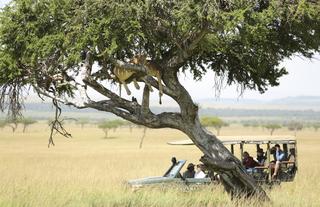 Game viewing at its best